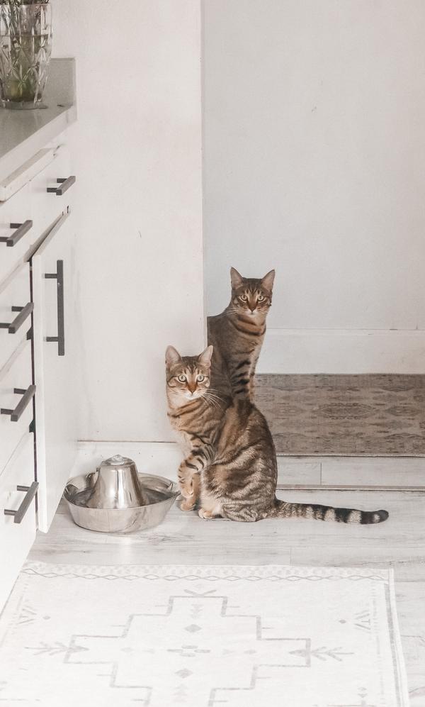 llamada de marketing