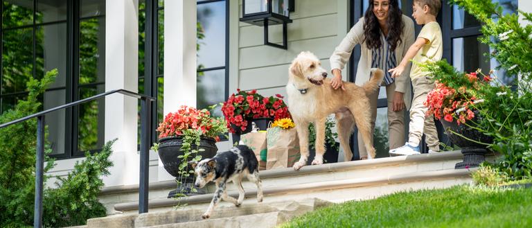 women lets dogs out to play in their yard in their invisible fence