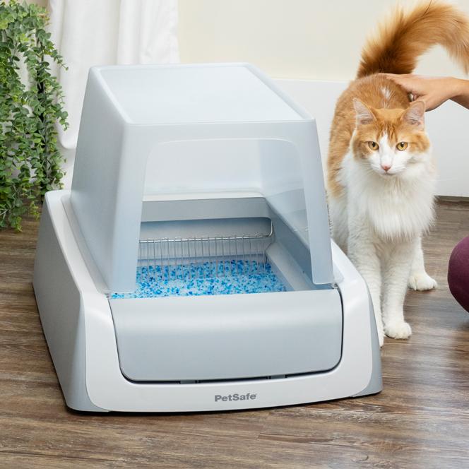 Cat beside PetSafe litter box