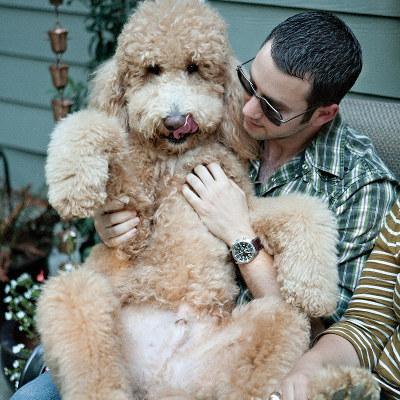 Happy Father’s Day, Doggie Dads!