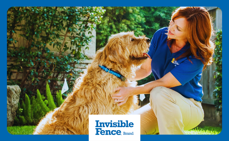 Invisible Fence Brand trainer interacting with dog outside