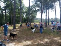 Bark-Park-live-image-13