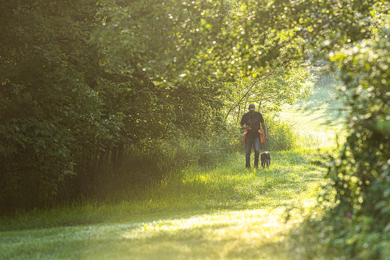 Man walking dog on heel in the early morning