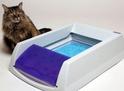 cat and litter box