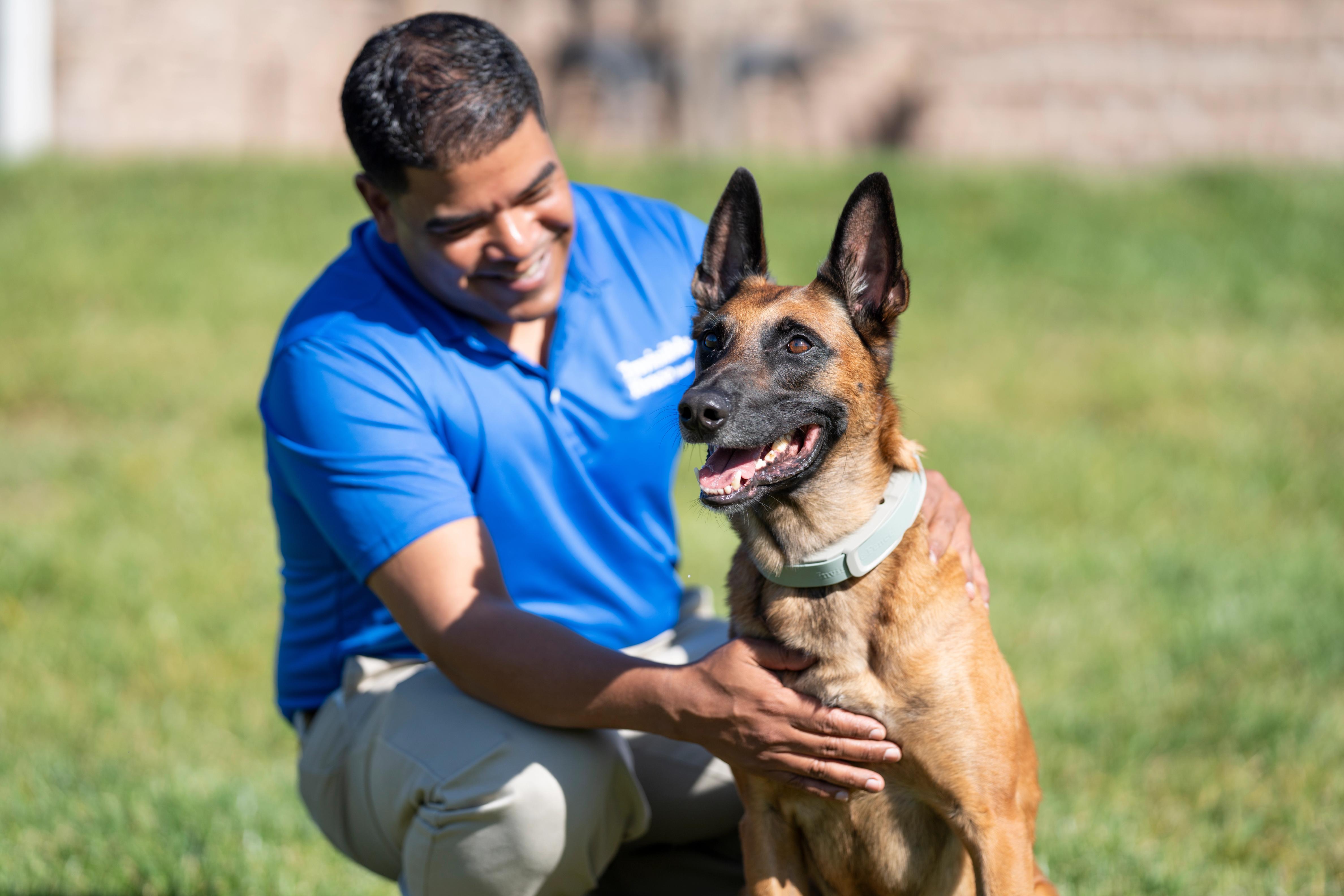 Invisible Fence® Trainer Works With Belgian Malinois Wearing an Invisible Fence® Brand GPS Wireless Dog Fence 