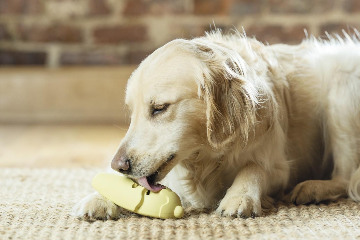 frosty cone dog toy