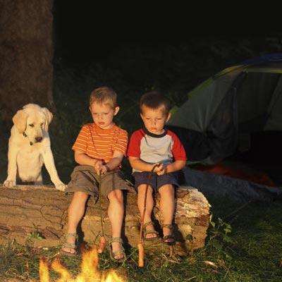 Boys and puppy with campfire