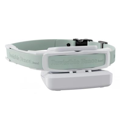 Invisible Fence GPS Collar