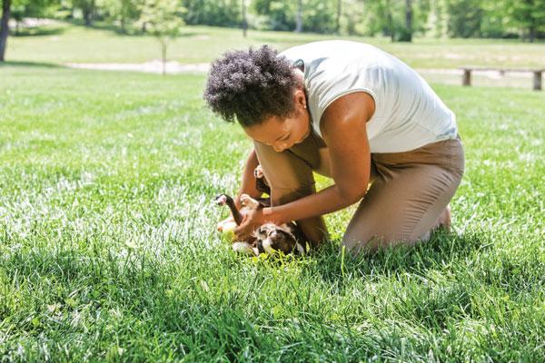 How to Preserve Your Pet's Heart in a Diamond Forever