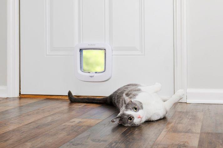 petsafe article