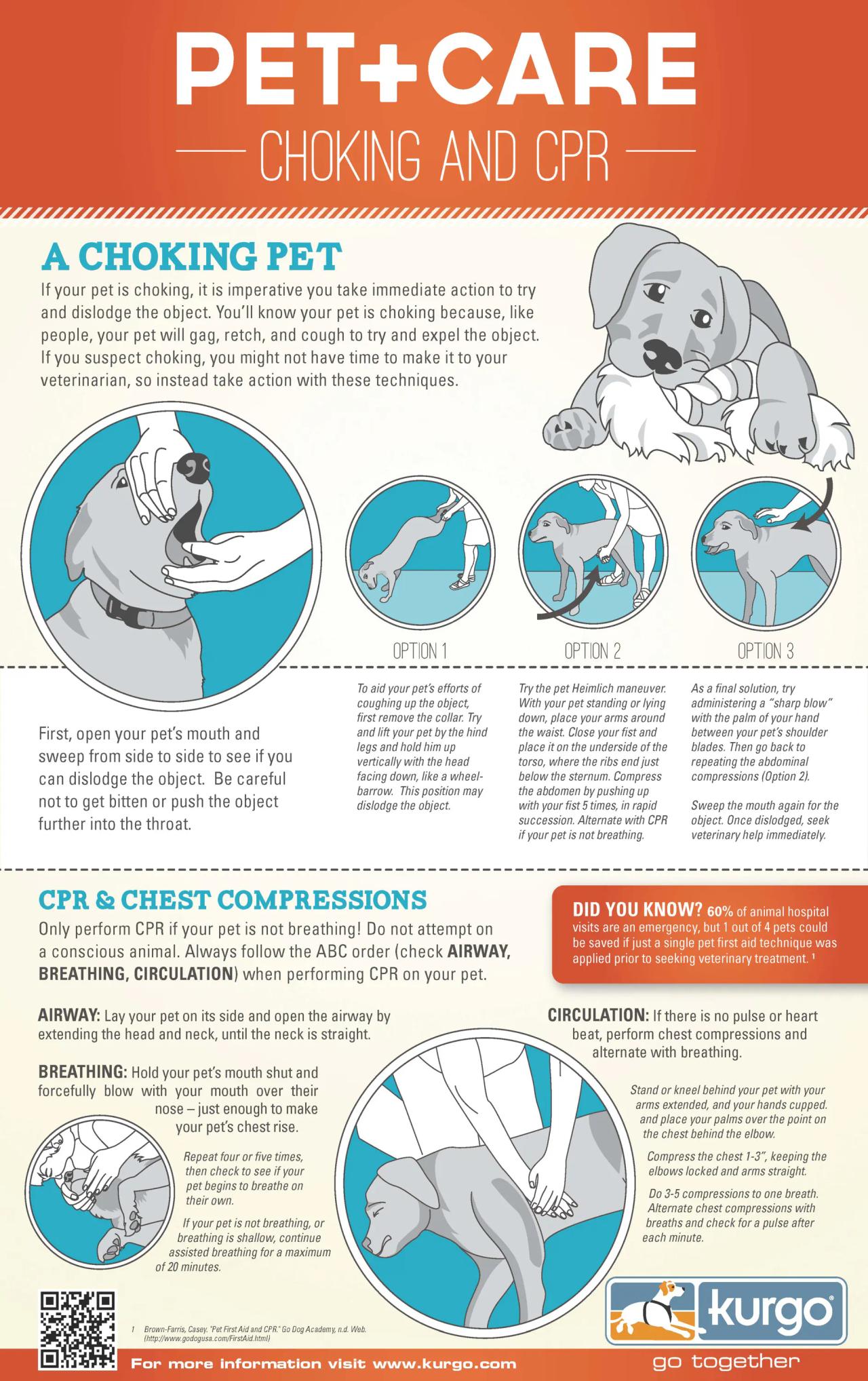 Dog CPR infographic