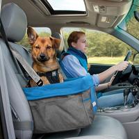 4 Tips for Driving Safely with a Small Dog