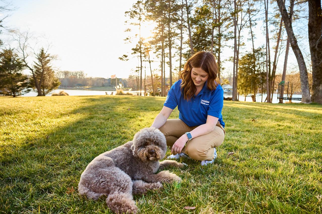 Invisible fence trainer works with poodle wearing GPS dog fence