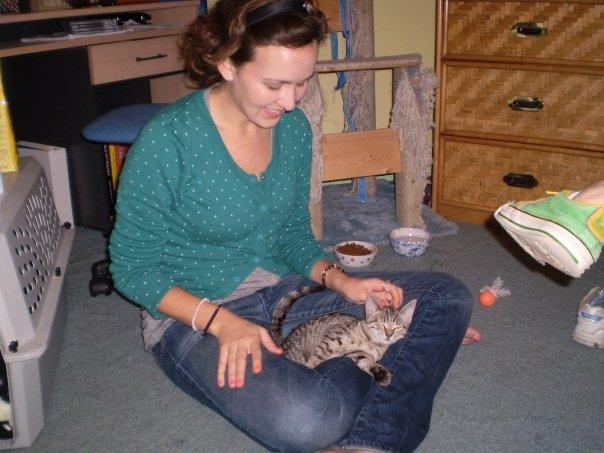 cat in lap