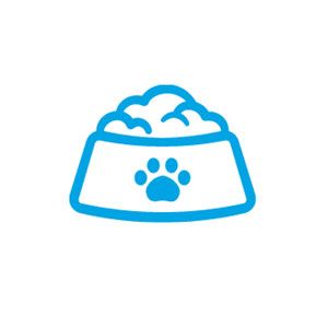 pet food and bowls