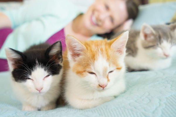 Fur Facts. Why am I allergic to cats but not dogs?