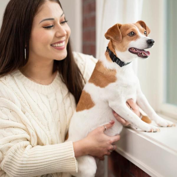 Why is Your Dog Barking?