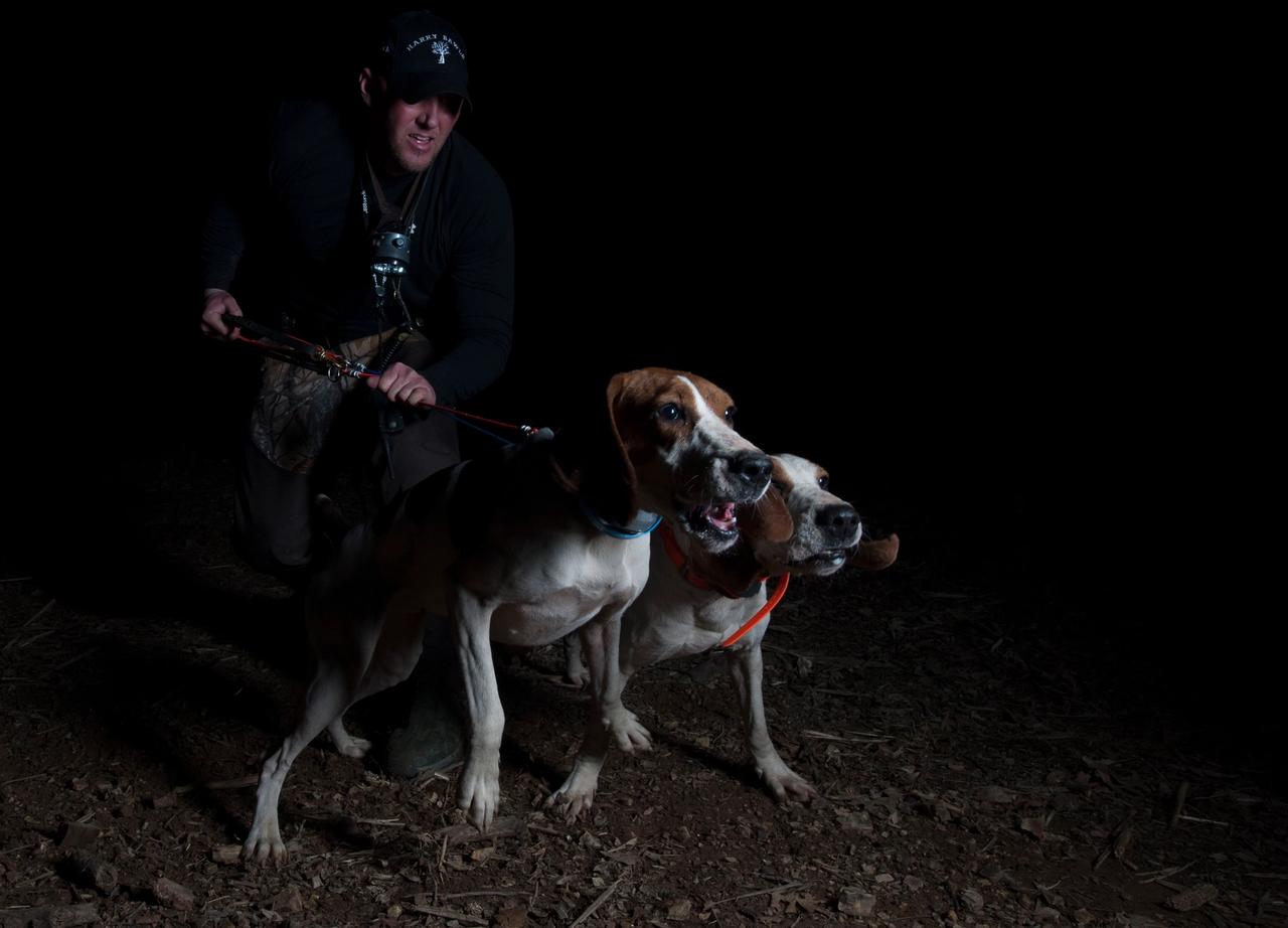 Controlling Multiple Dogs