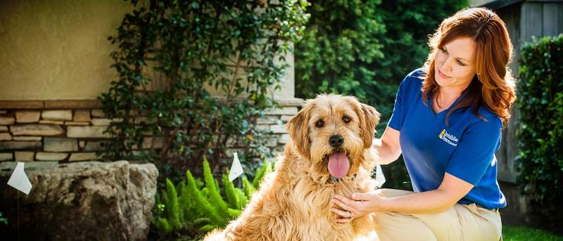 Invisible Fence trainer and dog.