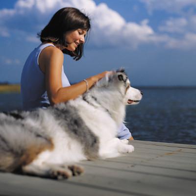 Pet Friendly Winter Getaways