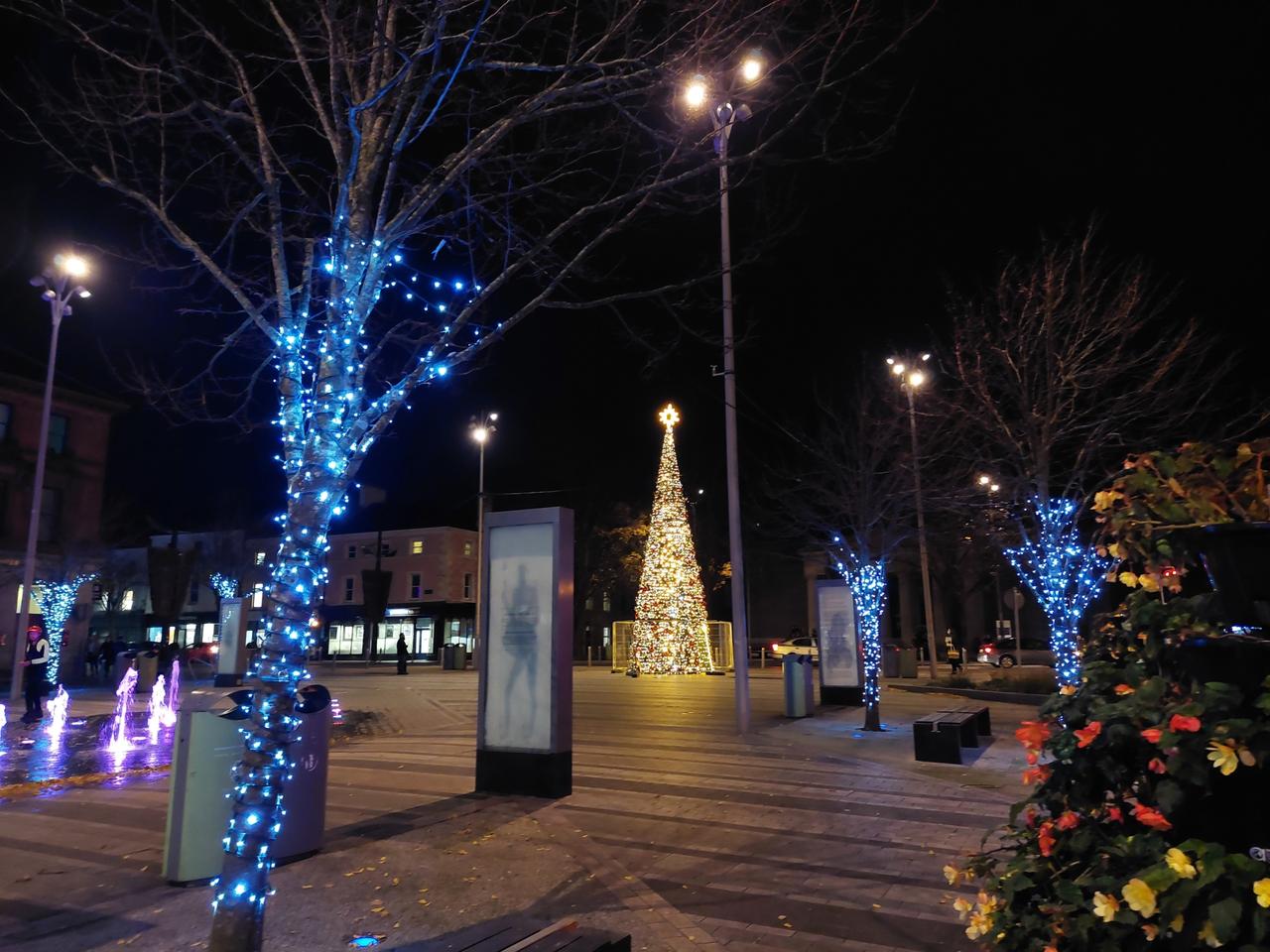 test image alt text