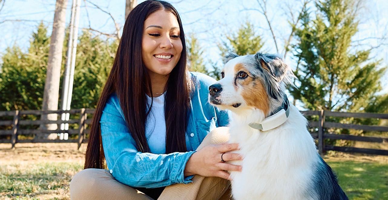 Woman petting dog outside