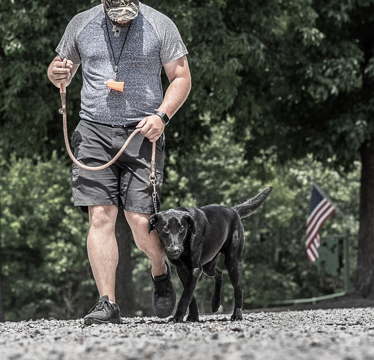 man walking with black lab on loose leash at heel