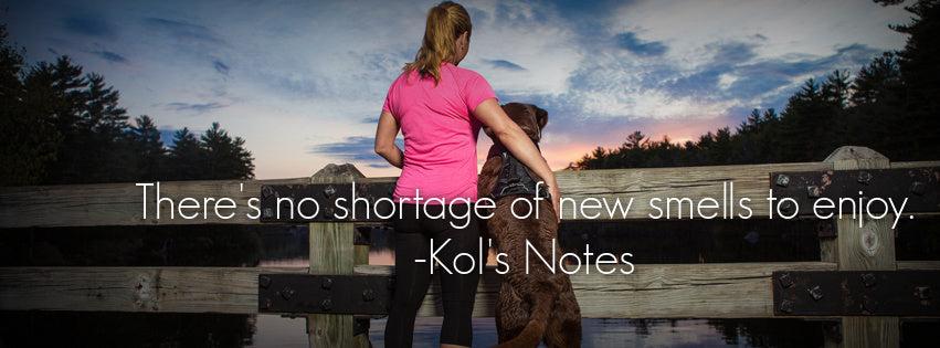 Kol's Notes Quote