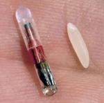 microchip size