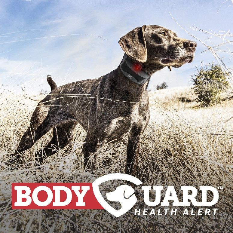 GSP on point in field with BodyGuard logo