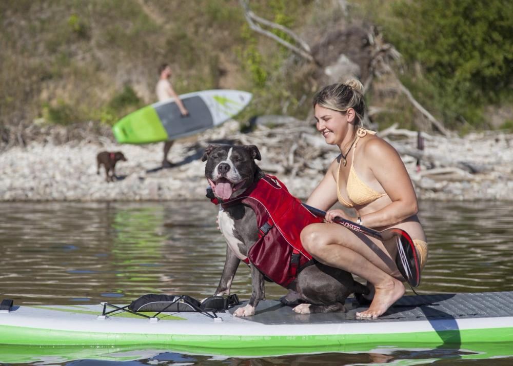 The Art of Paddling Boarding with Your Pup