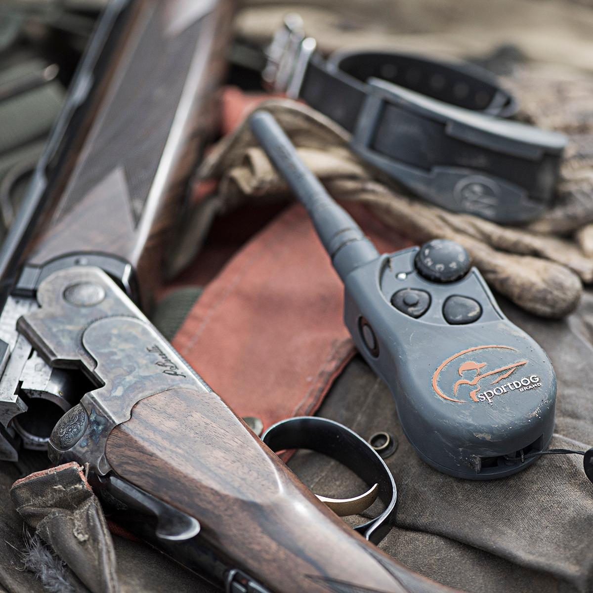 Gear on a table including gloves, a gun, and e-collar