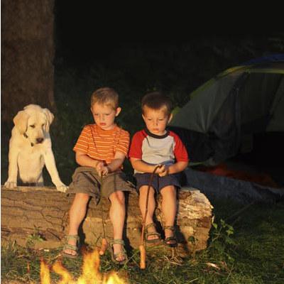 Traveling with Pets