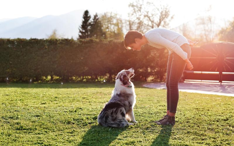 Woman and dog staring kindly at each other in a yard.