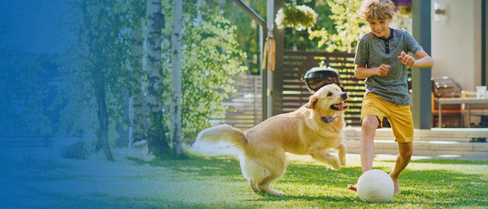 Boy and dog play with soccer ball in yard.