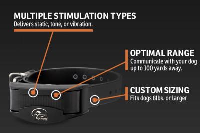 Infographic showing collar features