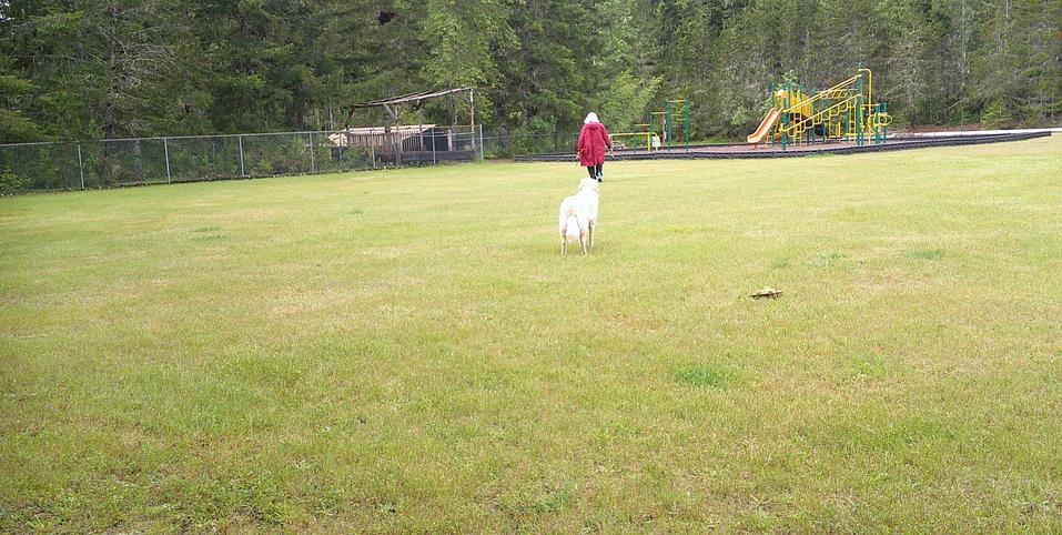 Fence-and-Playground