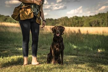 Woman and dog with e-collar