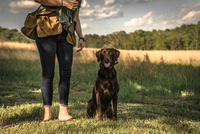 Woman and dog with e-collar