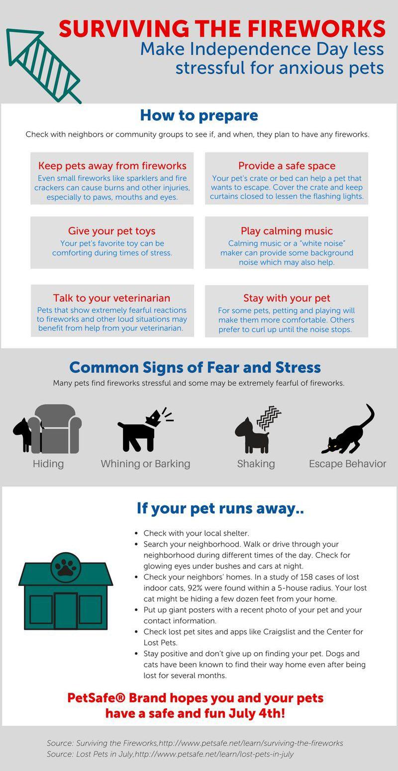 Fireworks Tips