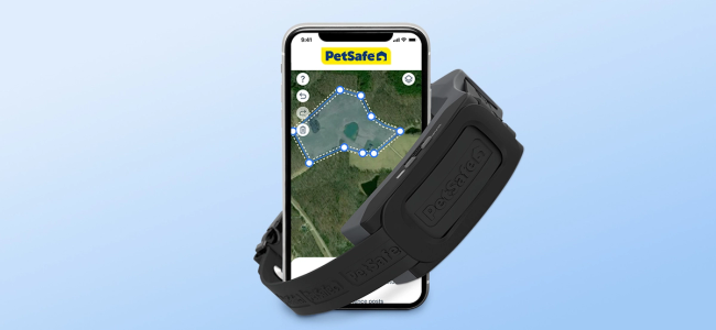 gps collar and a phone showing his custom boundary