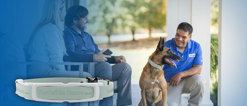 Invisible Fence Brand trainer interacting with dog and family outside.