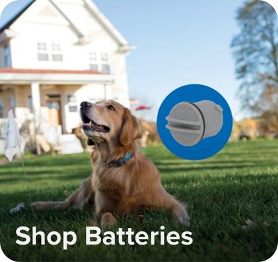 Text on screen "Shop Batteries" with visual representation of replacement battery for Invisible Fence collar