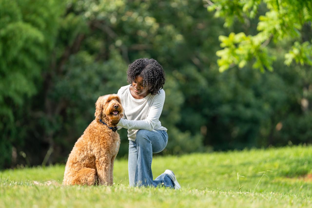 girl kneels in yard with goldendoodle