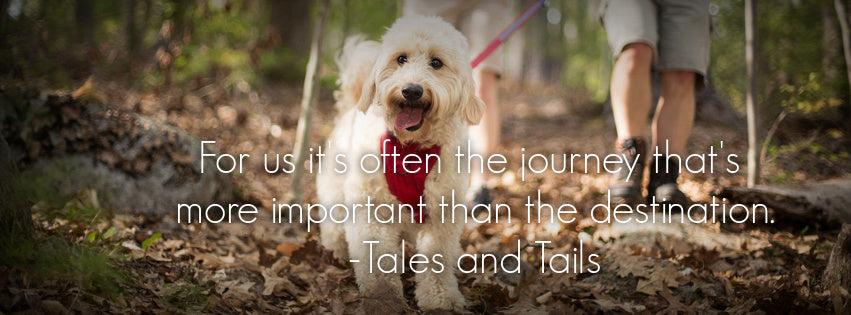 quote