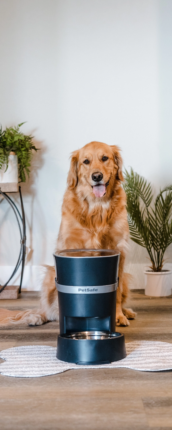 llamada de marketing