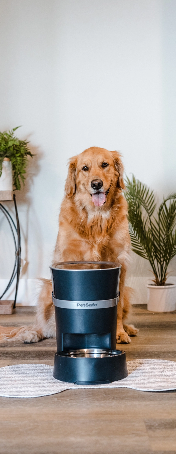 richiamo pubblicitario