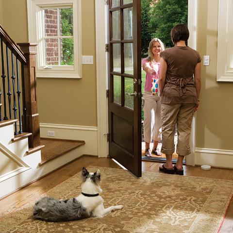 dog by door
