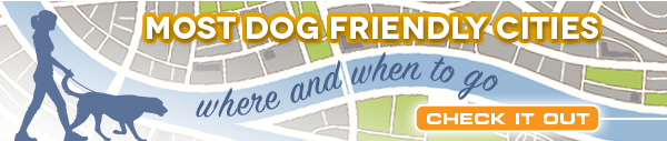 Most Dog Friendly Cities