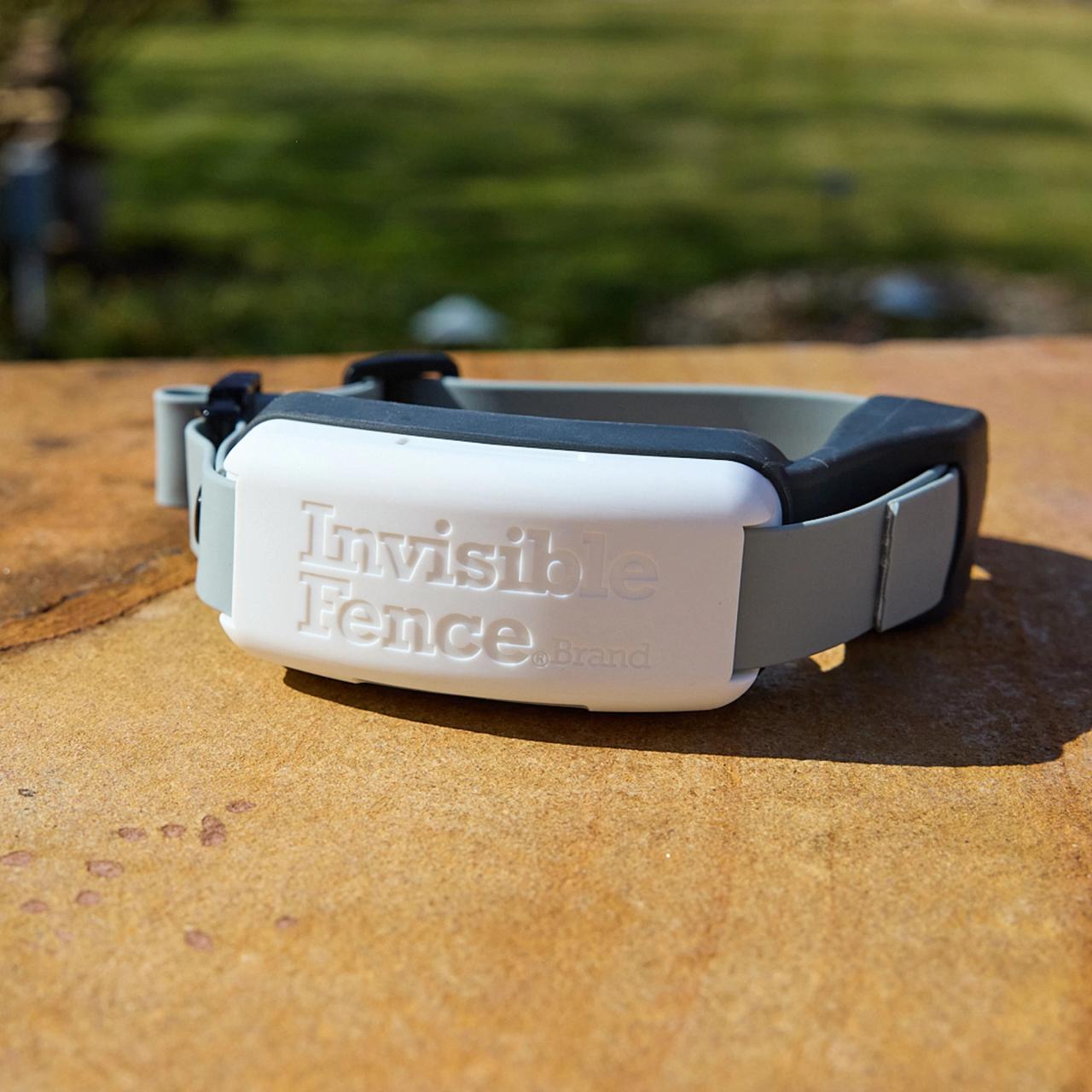 A white and green GPS dog fence collar